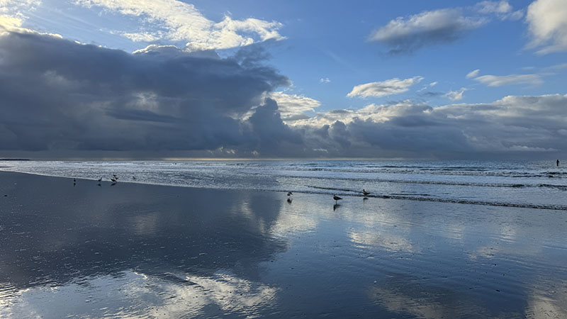 Bracksham Bay Sussex low tide